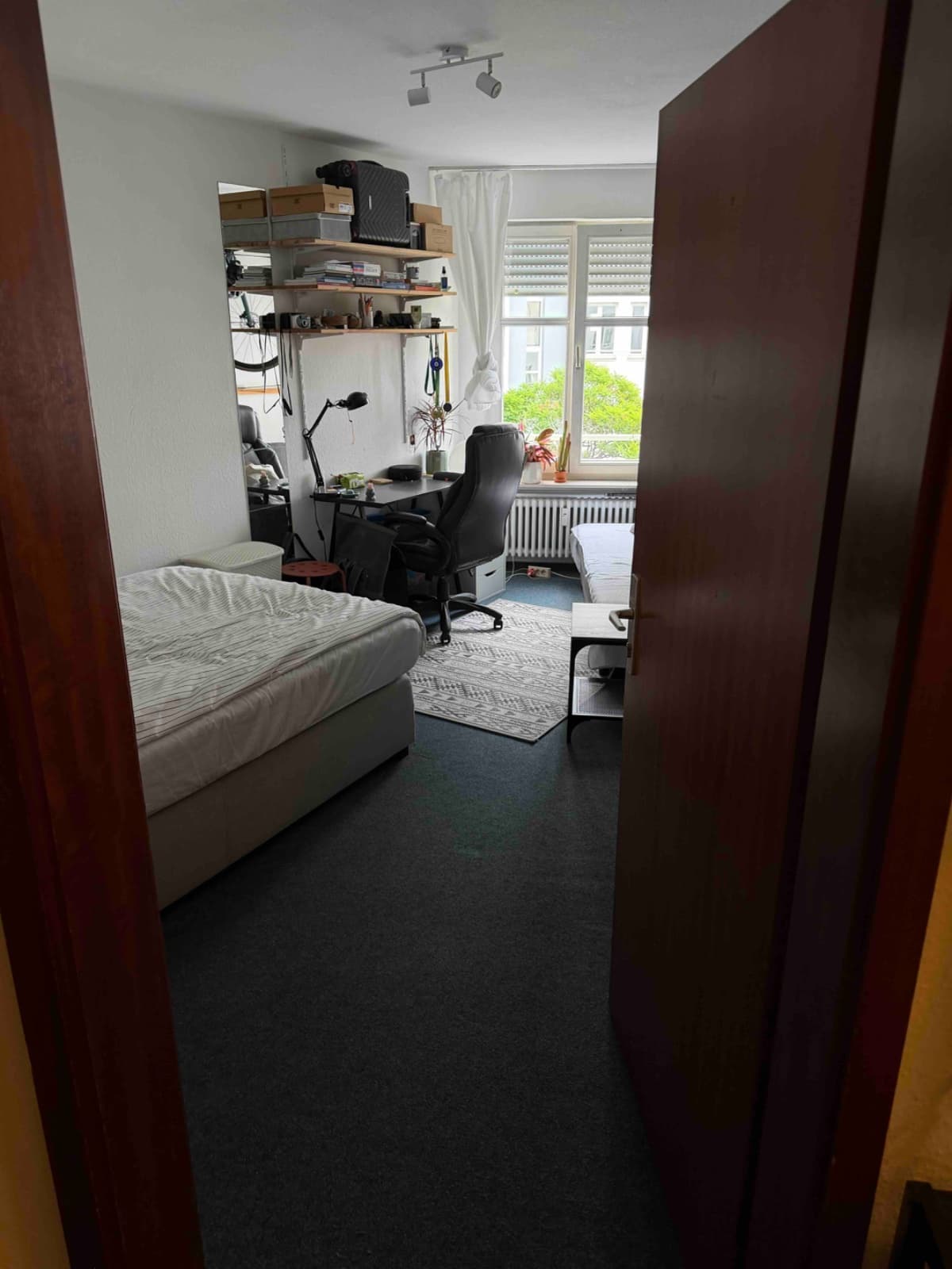 Wg Zimmer in Heidelberg